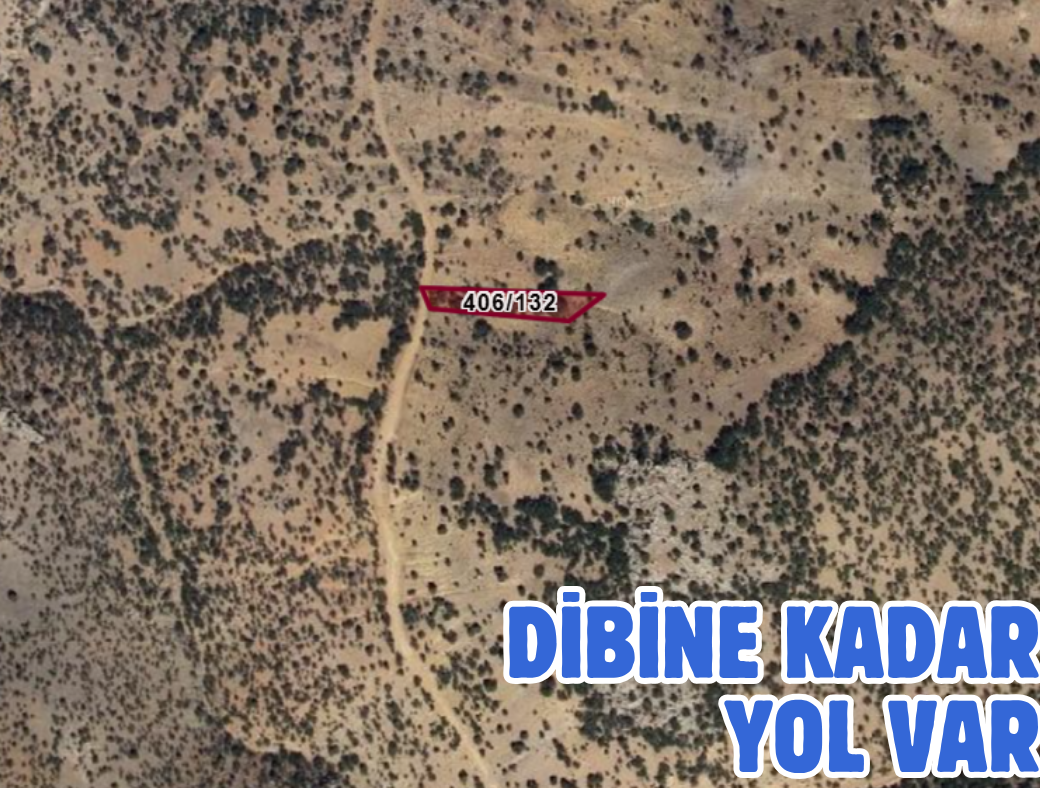 KONYA BOZKIR HAMZALAR 1.106 M² BAĞ SATILIKTIR - KONYA BOZKIR fotoğraf 3